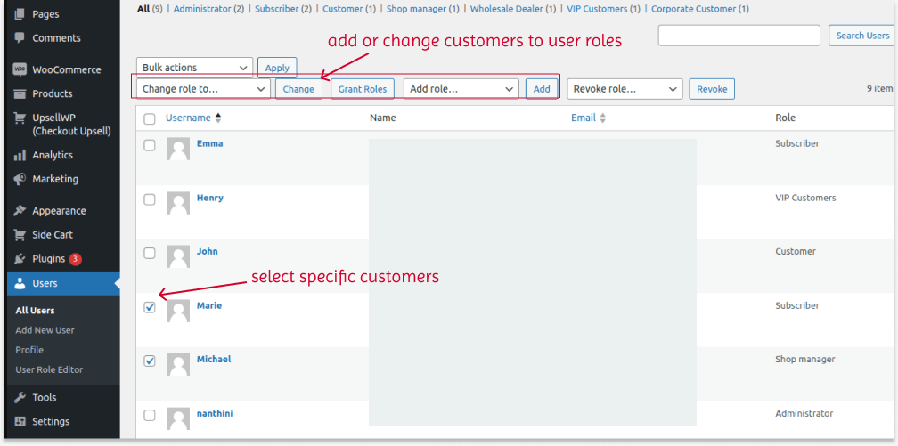 Segmenting customers to specific user roles